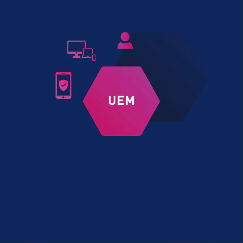 UEM Grafik 1