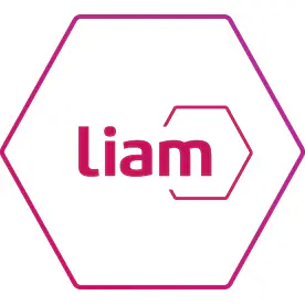 liam icon v2